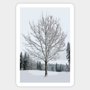 Abstract Snow Covered Tree Sticker